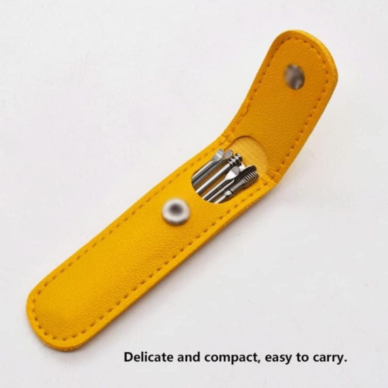 Ear Wax Removal Kit (3 Sets) – Stainless Steel with PU Leather Case